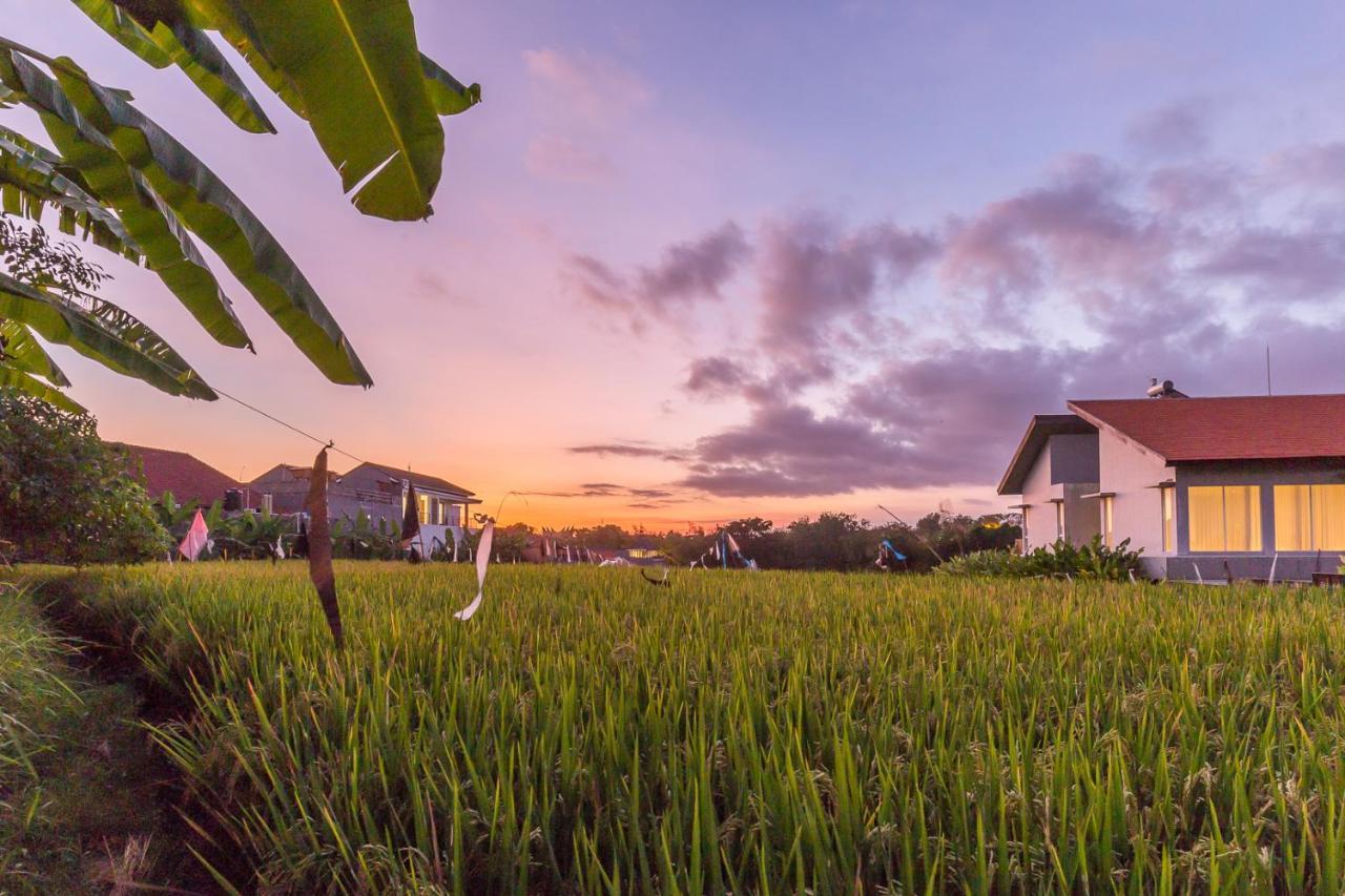 Charming Ricefield View 3 Bedrooms Villa Canggu Esterno foto